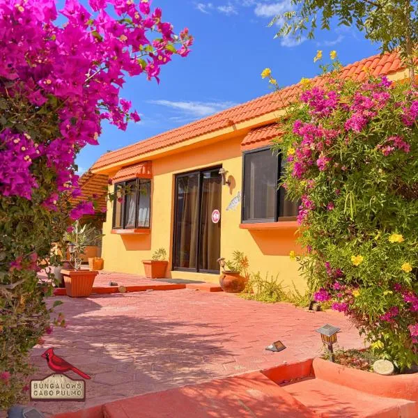 Bungalows Cabo Pulmo，位于Cabo Pulmo的酒店