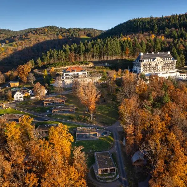 Domaine de Haslach, The Originals Collection, Résidence de Tourisme，位于蒙斯特的酒店