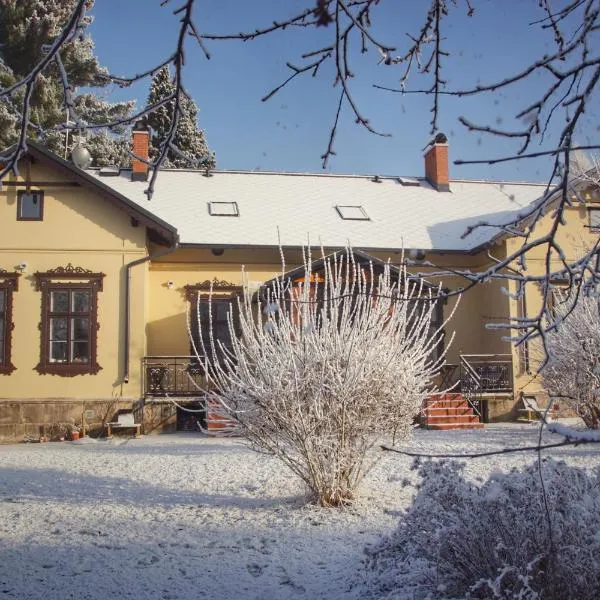 Apartments Šimákova Vila，位于Koberovy的酒店