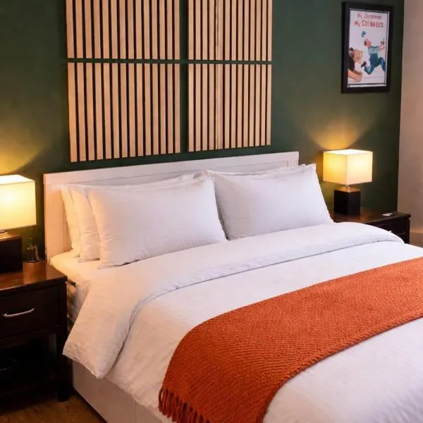 Modern Double Room in Quiet Upscale Dublin Location，位于都柏林的酒店
