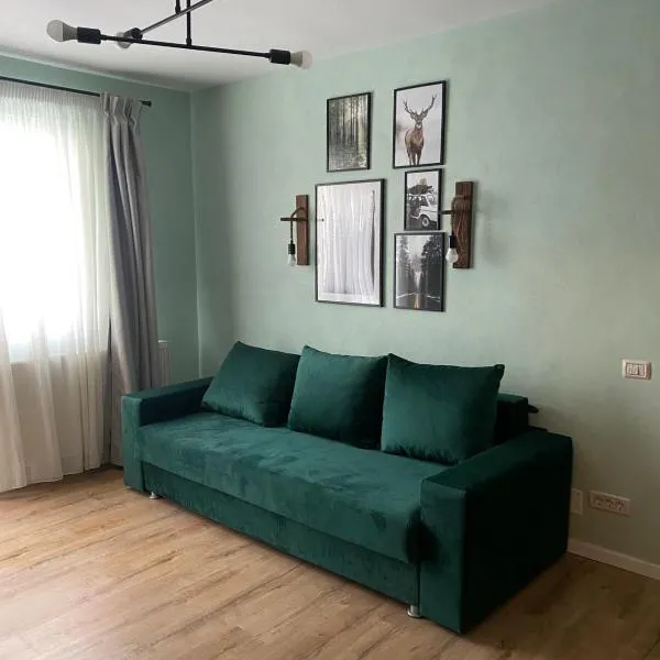 Apartament Tudor,位于弗格拉什的酒店