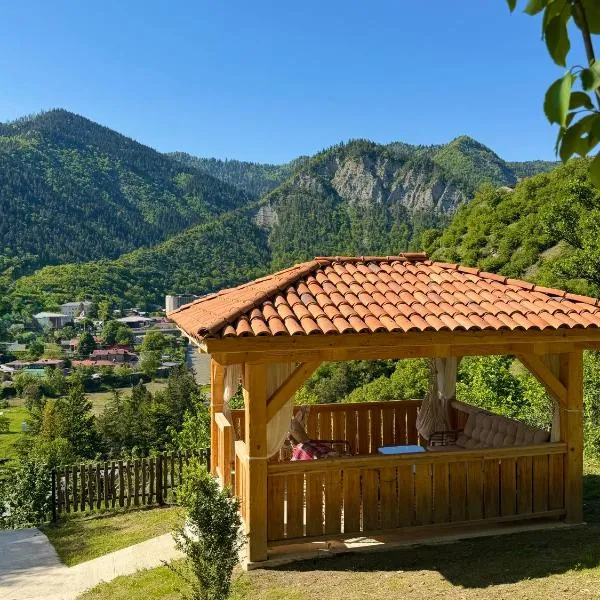 Hotel Borjomi Verde，位于博尔若米的酒店