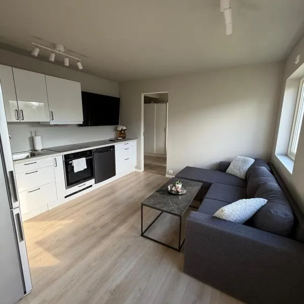 Discover Lofoten from this cosy apartment!，位于Vestvågøya的酒店