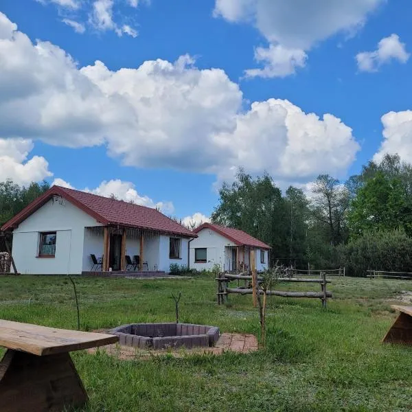 Domki Strumieniowa，位于Wólka Tanewska的酒店
