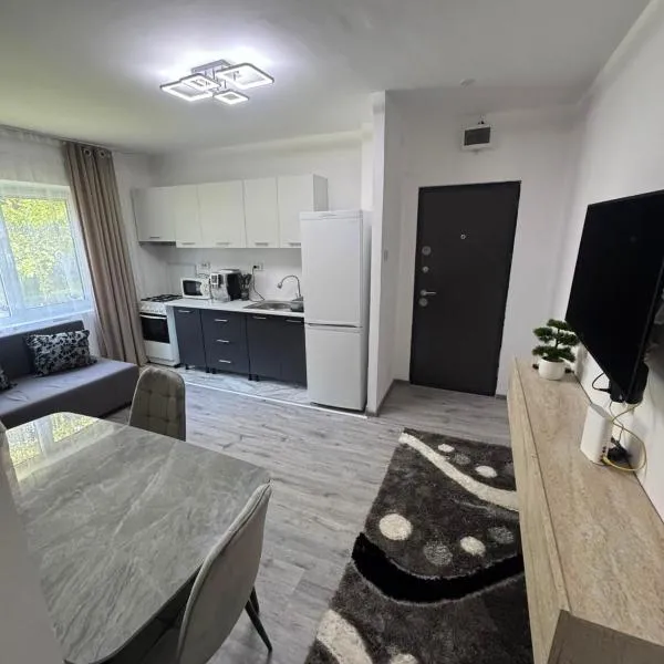 Maria&Cristi Apartments Orsova，位于奥尔绍瓦的酒店