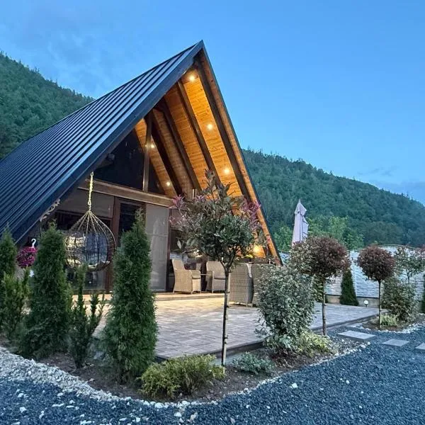 A-frame Cernat,位于阿尔巴克的酒店