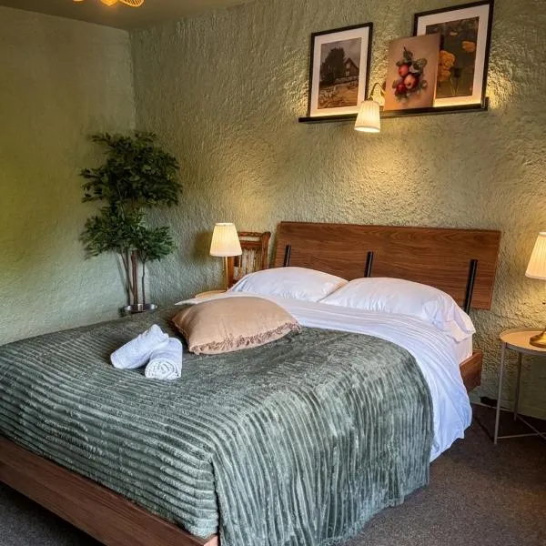 Relais du Moulin - Bed & Breakfast，位于Abreschviller的酒店