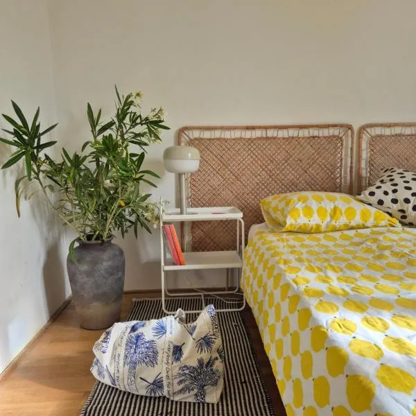 Otto Novalja, spacious penthouse apartment in city center，位于诺瓦利娅的酒店