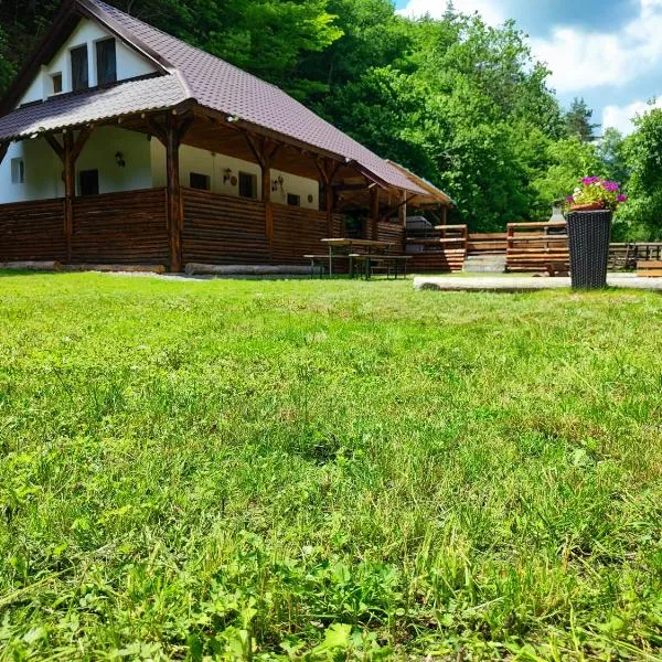 River Haus，位于Călineşti的酒店