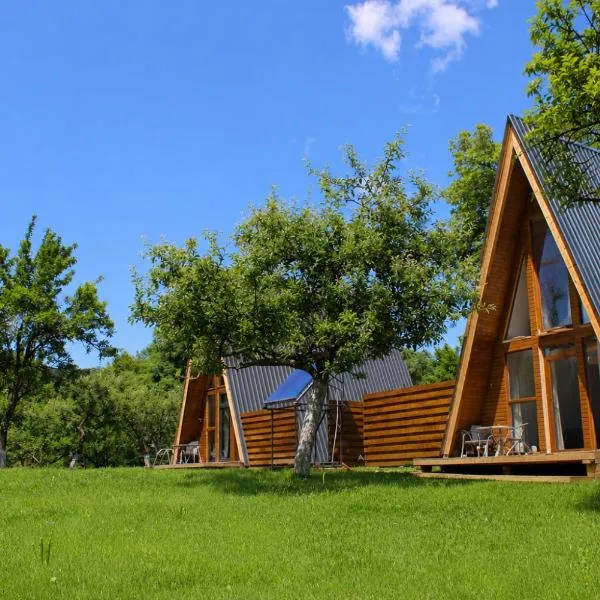 Silent A-FRAME,位于Brăteşti的酒店