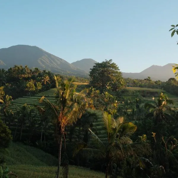 Saridevi Ecolodge，位于贾蒂卢维的酒店