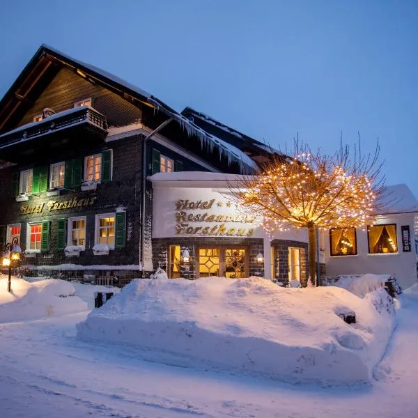 佛斯豪斯酒店，位于温特贝格的酒店