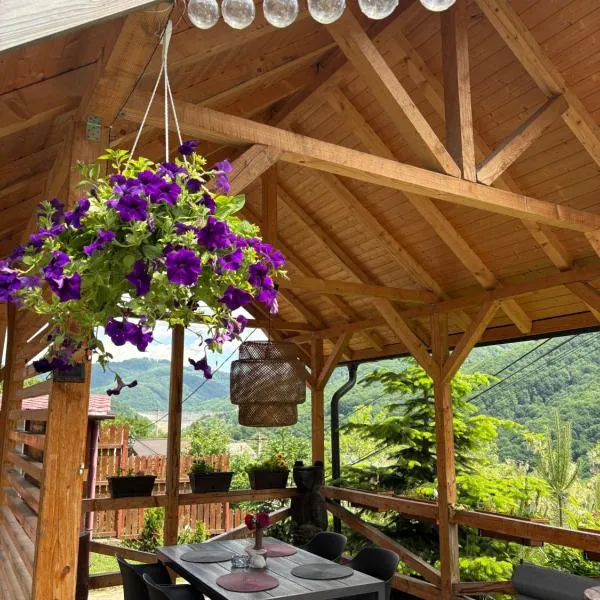 Chalet Husky-Pet Friendly&Private，位于Şotrile的酒店