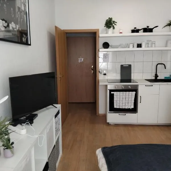 Holiday, Monteur Studio flat in Colditz，位于Colditz的酒店