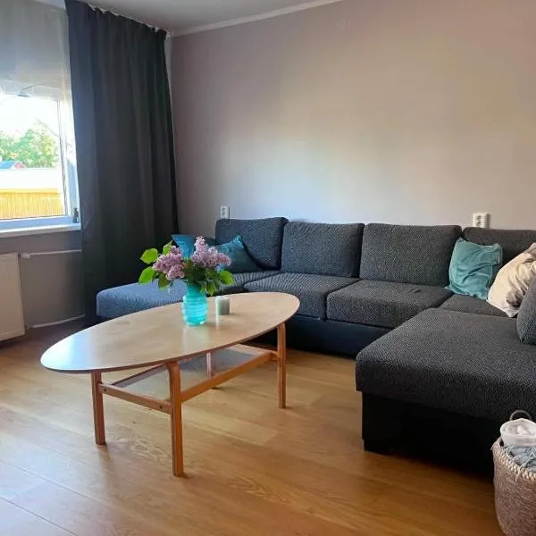 Viskoosa Näkmani Apartment，位于Kõrgessaare的酒店