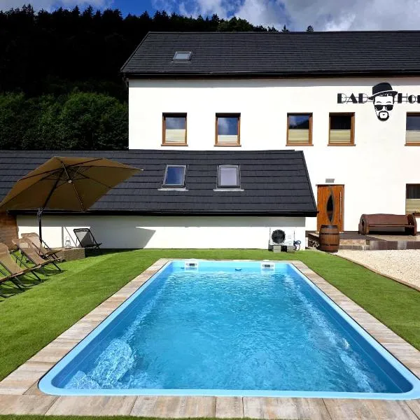 Góry Sowie przystanek DAD HOUSE，位于索克莱克的酒店