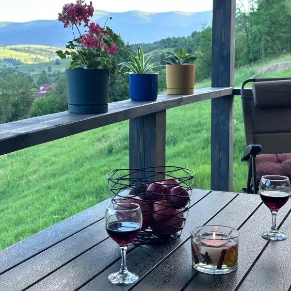 Borzhava View Chalet，位于Nizhniy Studenyy的酒店