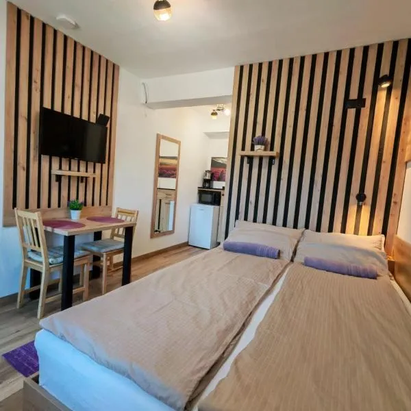 Somni Apartamente，位于Chinteni的酒店
