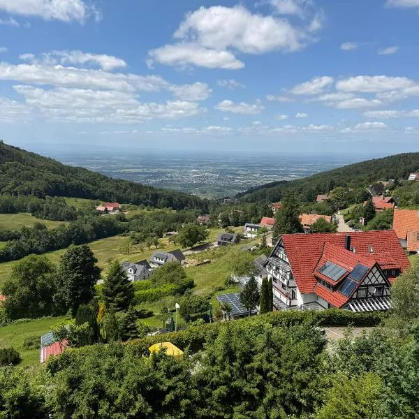 Berghof Grüner Baum,位于萨巴赫瓦登的酒店