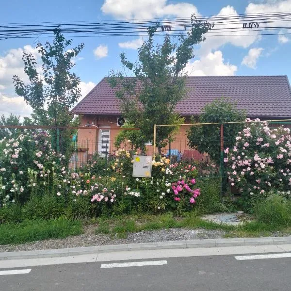 Garsoniera 20m2 anexată la casa proprietarului，位于博托沙尼的酒店