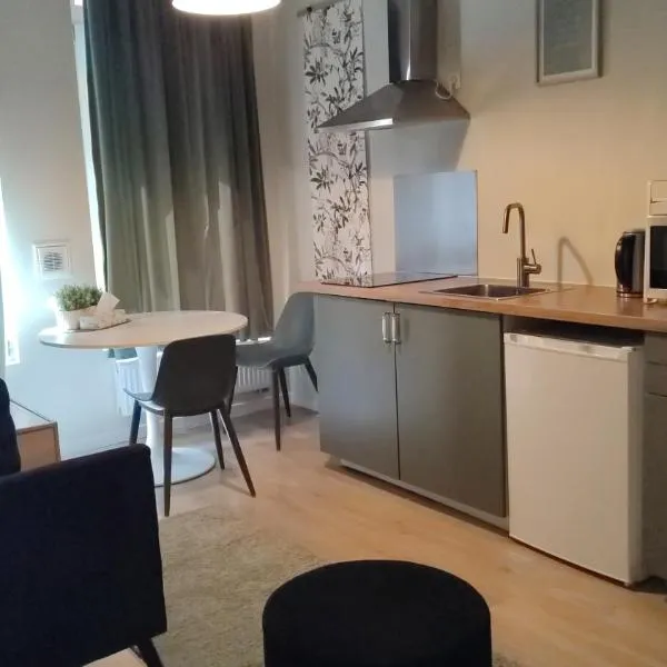 Studio2 Van Lerius,位于安特卫普的酒店