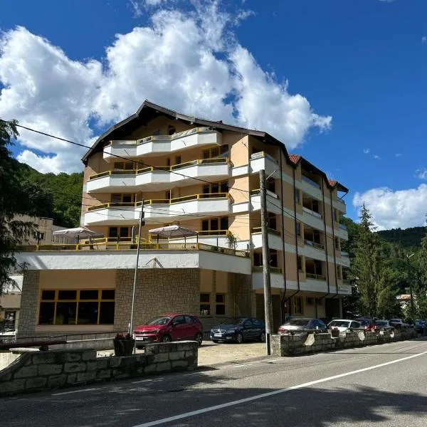 Montana Inn Slănic Moldova，位于斯兰默多瓦的酒店