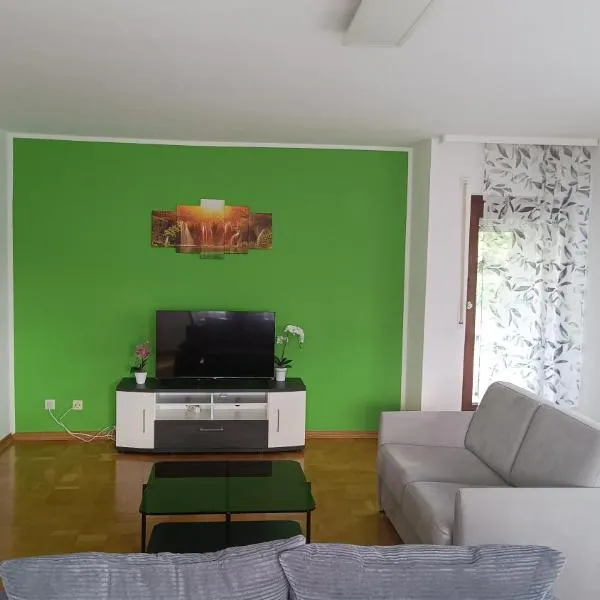 Rudiferienwohnung,位于比丁根的酒店