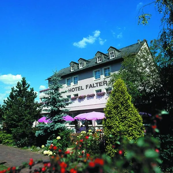 Hotel Falter，位于霍夫的酒店