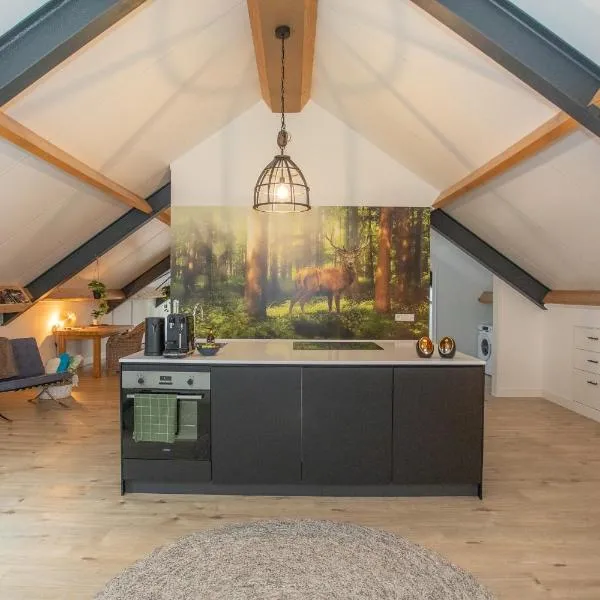 Boerderij appartement De Casterie，位于Bornerbroek的酒店