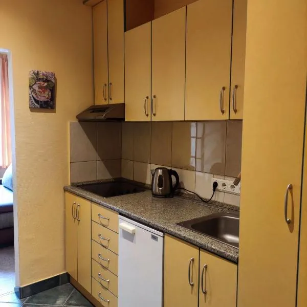 Forest Soul Apartment，位于耶德库安特的酒店