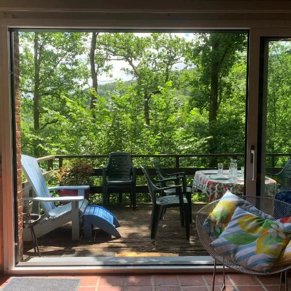 Chalet cosy - terrasse et détente, escapade nature au Bonsoy，位于Waulsort的酒店