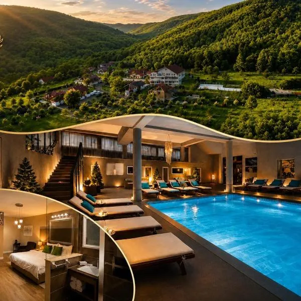 Vila Roca Resort and SPA Apuseni，位于瓦莱德拉加努鲁伊的酒店