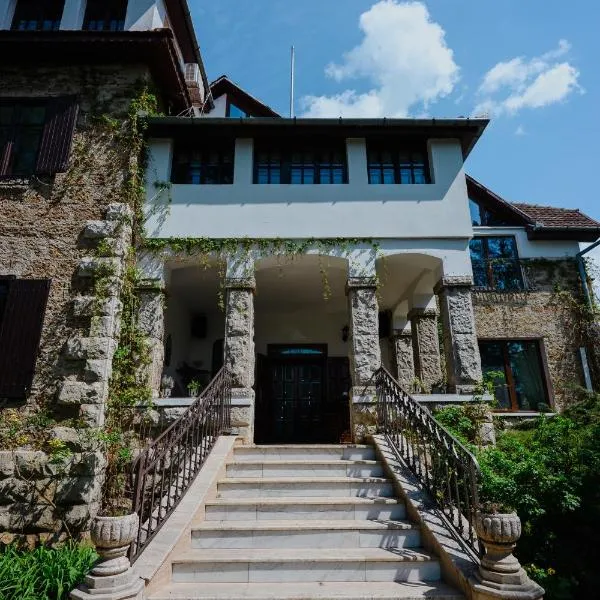 Vila Castelul Maria,位于Banpotoc的酒店