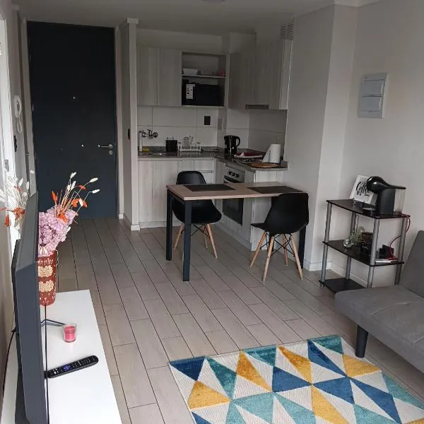 Departamento amoblado 1 dormitorio，位于康塞普西翁的酒店