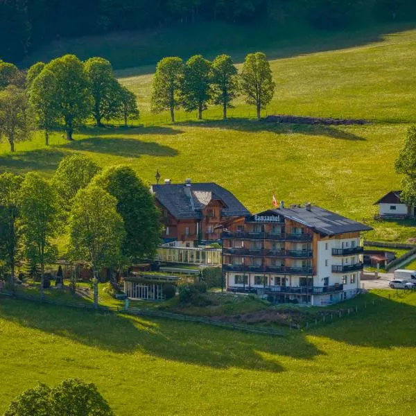 Hotel Ramsauhof Zimmer Appartement Pool & Wellness，位于拉姆绍达赫斯坦的酒店