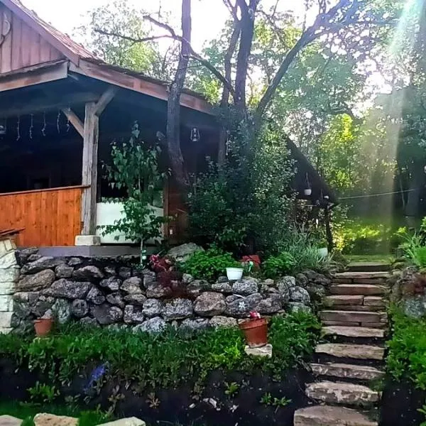 Hidden Garden Kide (Chidea)，位于克卢日-纳波卡的酒店