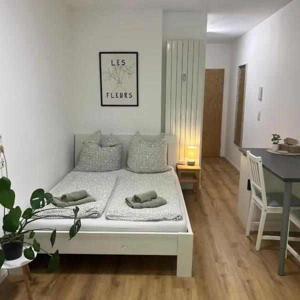 Gemütliche Wohnung in Passau，位于帕绍的酒店