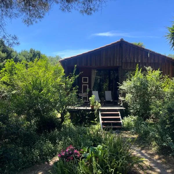 Pine Lodge - direct train to Porto，位于瓦隆古的酒店