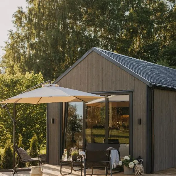 Ruoliškis tiny house，位于比尔扎伊的酒店