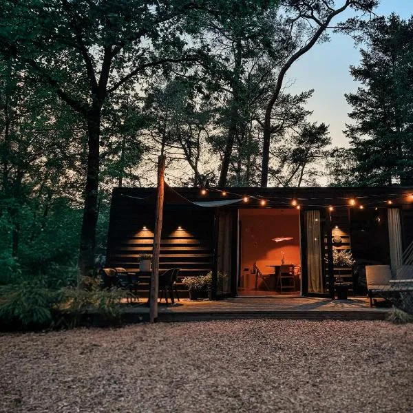 Japandi Tiny House STEC op de Veluwe，位于宁斯佩特的酒店