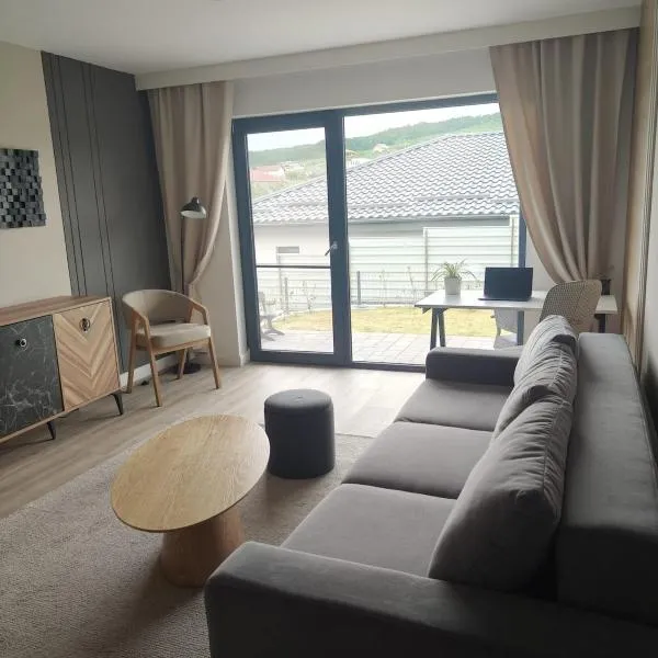 Origo Residence - Terrace & Private Parking，位于比斯特里察的酒店