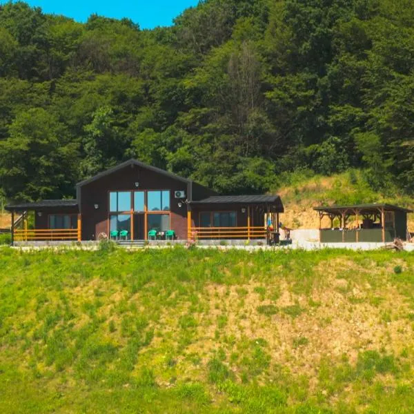 Casa cu Pădure，位于沃莱尼德蒙泰的酒店