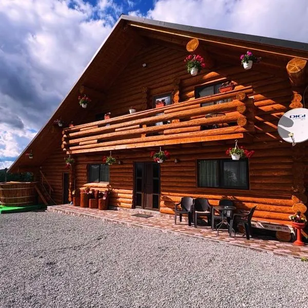 Cabana Colț De Munte，位于Ocoale的酒店
