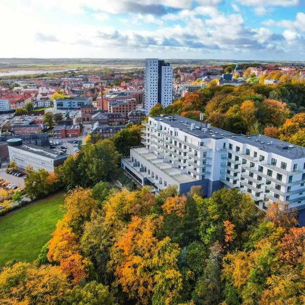 Hotel Kongens Ege，位于兰讷斯的酒店