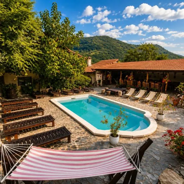 Casa Dives - Varianta Boierească，位于Pianu de Sus的酒店