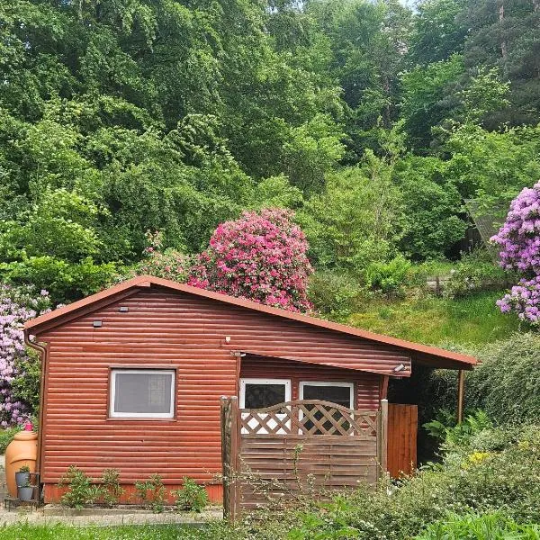 Ferienhaus in Geesthacht-Tesperhude direkt am Waldrand，位于格斯塔特的酒店