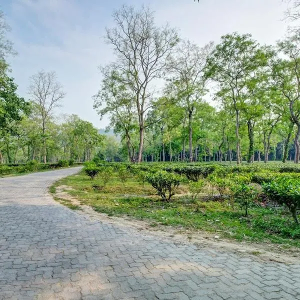 Hotel O Heritage Nest Resort Kazirnga，位于卡齐兰加的酒店