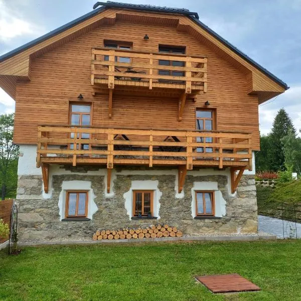 Lipno, apartmán Hůrka 39，位于霍尼普拉纳的酒店