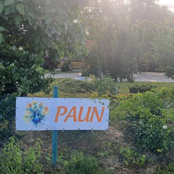 Paun,位于科普里夫尼察的酒店