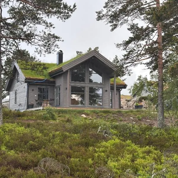 Moderne Fjellhytte Gautefall med Utsikt，位于Drangedal的酒店
